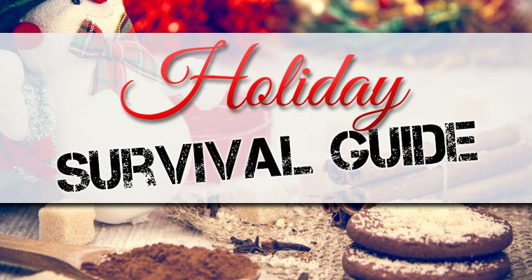 2017 Holiday Survival Guide - Part 3: 